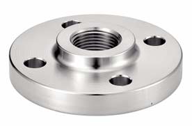 EN 1.4307 NPT Flange