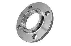 EN 2.4360 NPT Flange