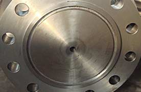 Hastelloy BLRF Flange