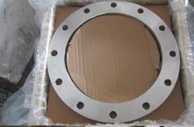 Hastelloy C276 Plate Flange