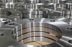 Hastelloy Plate Flange