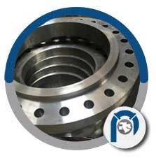 Hub flange