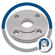 SA 182 F 310 WNRF flange