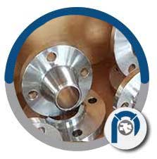 Series B 600 LB WN Flange