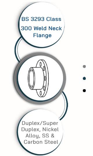 BS 3293 Class 300 Weld Neck Flange