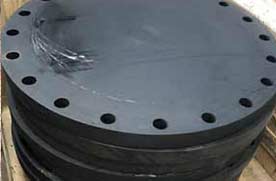 Sr B ANSI B16.47 150# ASTM A105 Blind Flange