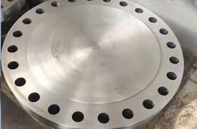 Sr B ANSI B16.47 300 Lbs AISI 316L Blind Flange