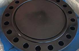 Sr B B16.47 600 Lbs ASTM A694 F42 Blind Flange