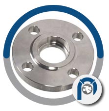 A 182 F310 plate flanges