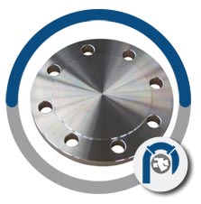 AISI 310 long weld neck flange