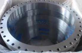 Stainless Steel Plate Flange