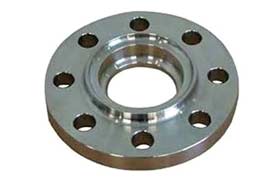 Super Duplex SW Flange