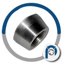 A105 Steel NPT Threadolet