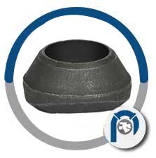 CS 45 Degree Weldolet