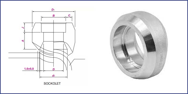 Dimension of SS Socket Weld Outlet Dimension of SS Socket Weld Outlet