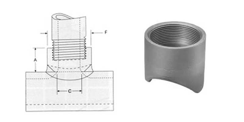 Dimensions of Coupolet Dimensions of Coupolet