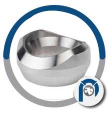 Stainless Socket Welding Outlet Stainless Socket Welding Outlet