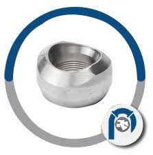 Stainless Threaded Outlets Stainless Threaded Outlets