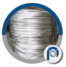 A269 Gr 316l Capillary Tubing A269 Gr 316l Capillary Tubing