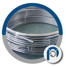 ASME SA 213 TP202 Coil Tube