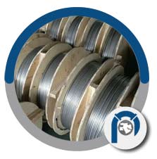 ASME SA 213 TP310H Coil Tube ASME SA 213 TP310H Coil Tube