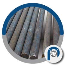 A276 TP 310 forged round bar
