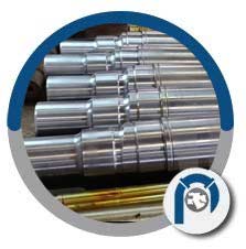 Alloy 201 Nickel Shaft