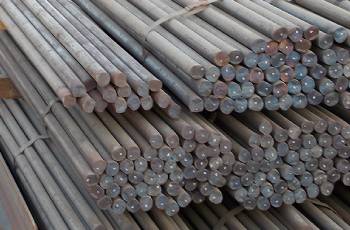 ASTM A182 S32950 Hot Rolled Bar