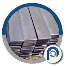 SAE 1060 Carbon Steel Flat Rod