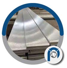 WNR 1.4876 flat bar WNR 1.4876 flat bar