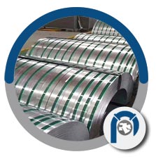 Alloy 445 thin strips Alloy 445 thin strips