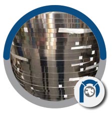 ASTM A240 SS 301 thin strips
