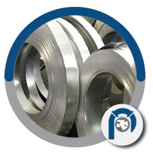 ASTM B127 UNS N05500 strip