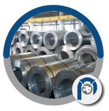 SA 240 SS 310S Coils SA 240 SS 310S Coils