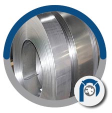 SB 409 UNS N08810 strips