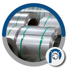 SS 304N1 coils SS 304N1 coils