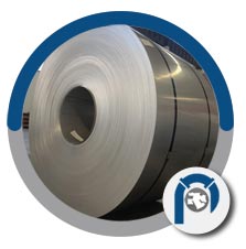SS 309S Thin Strips SS 309S Thin Strips