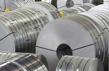 ASTM B333 UNS N10665 Strip