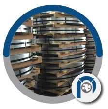 UNS S43600 Strip