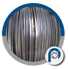 Ti Alloy Flat Wire Ti Alloy Flat Wire