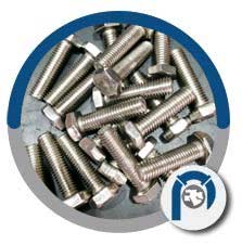 18-8 SS Heavy Hex Bolts