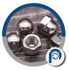 18-8 SS Hex Acorn Nut