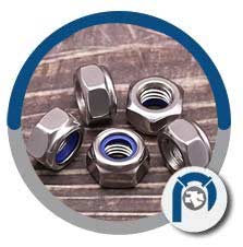 18-8 Ss Wheel Locking Nuts 18-8 Ss Wheel Locking Nuts