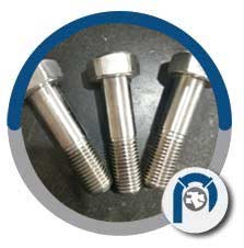 18-8 Stainless Steel Hex Bolts