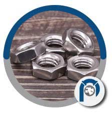18-8 Stainless Steel Hex Jam Nut