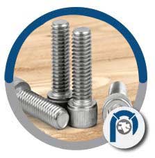 18-8 Stainless Steel Hexagon Socket Allen Head Cap Screw 18-8 Stainless Steel Hexagon Socket Allen Head Cap Screw