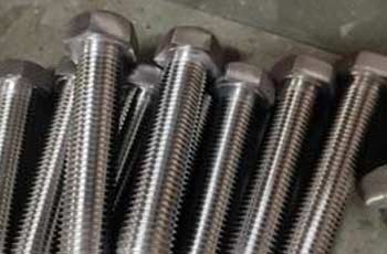 304 SS Heavy Hex Bolts