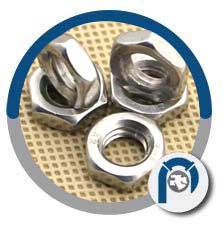 310 SS Heavy Hex Nuts 310 SS Heavy Hex Nuts