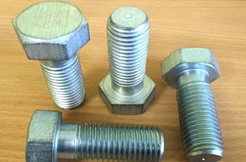 310 SS Hex Bolts