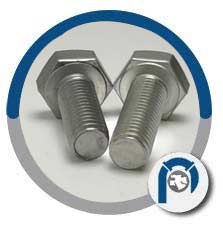 310 Stainless Steel Hex Bolts 310 Stainless Steel Hex Bolts